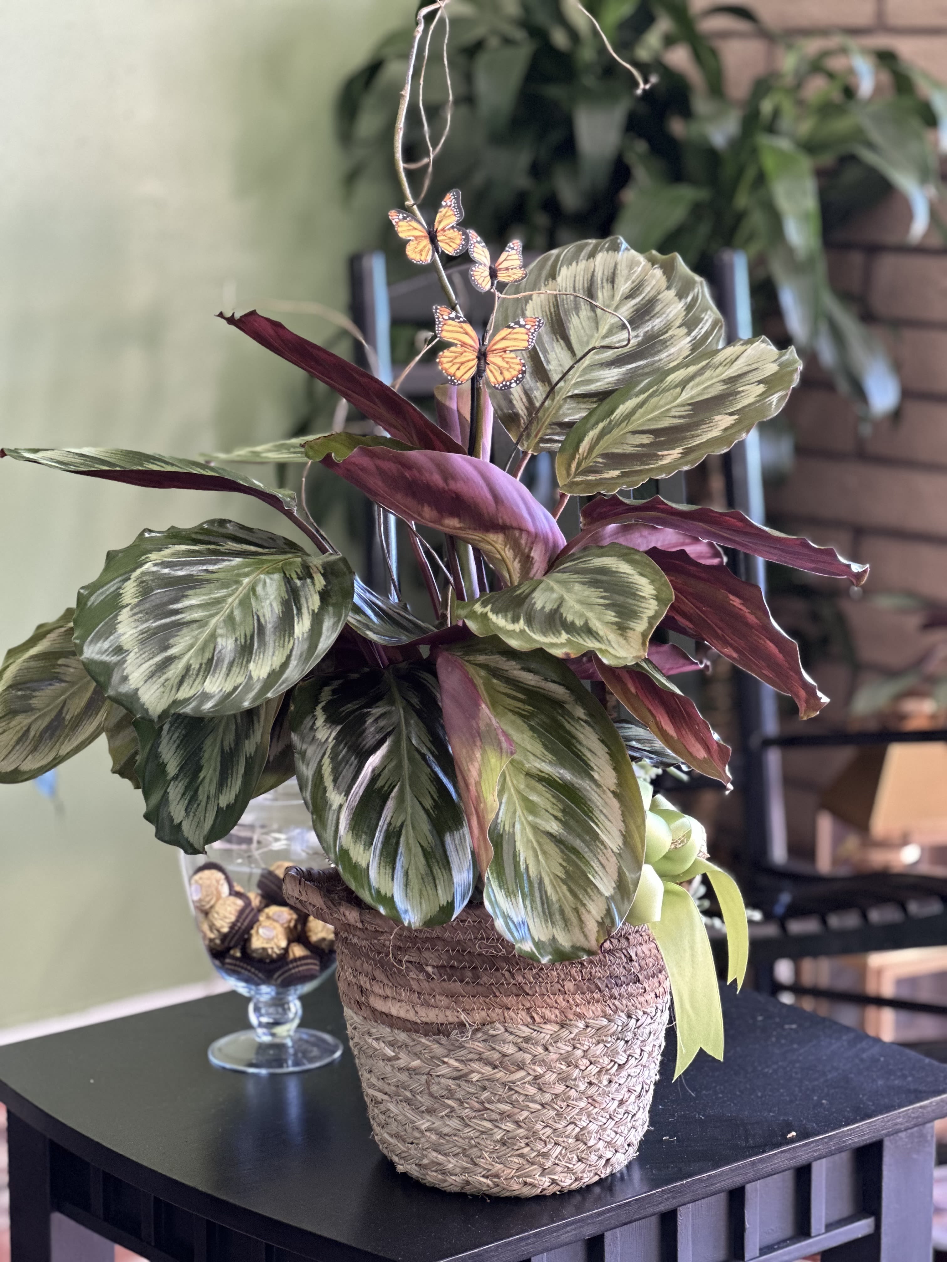 Potted plant with variegated leaves and butterfly picks in a woven basket
