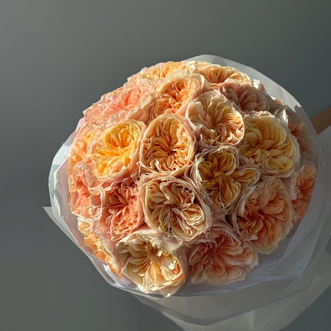 Bouquet of peach and cream roses wrapped in white paper