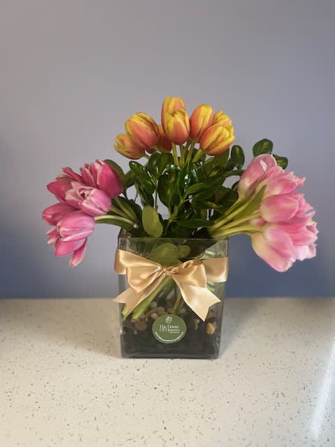Pink and yellow tulips in a square glass vase with a gold ribbon