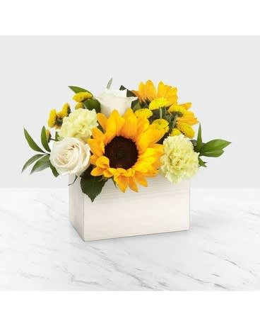 Sunflower and white rose arrangement in a white box