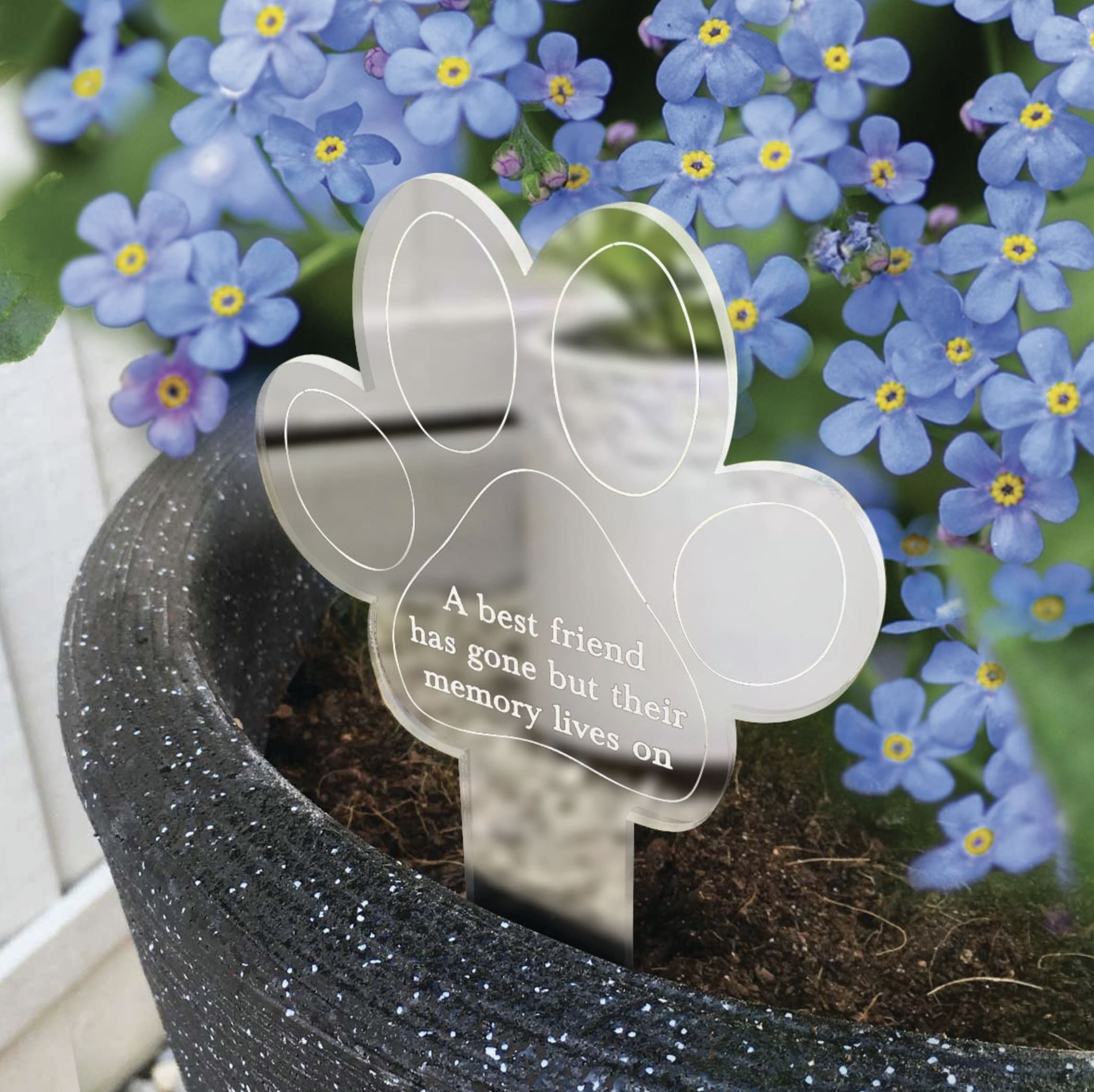 Blue forget-me-not flowers in a black pot with a paw-print memorial marker