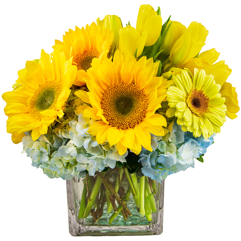 Yellow sunflowers and blue hydrangeas in a clear glass vase