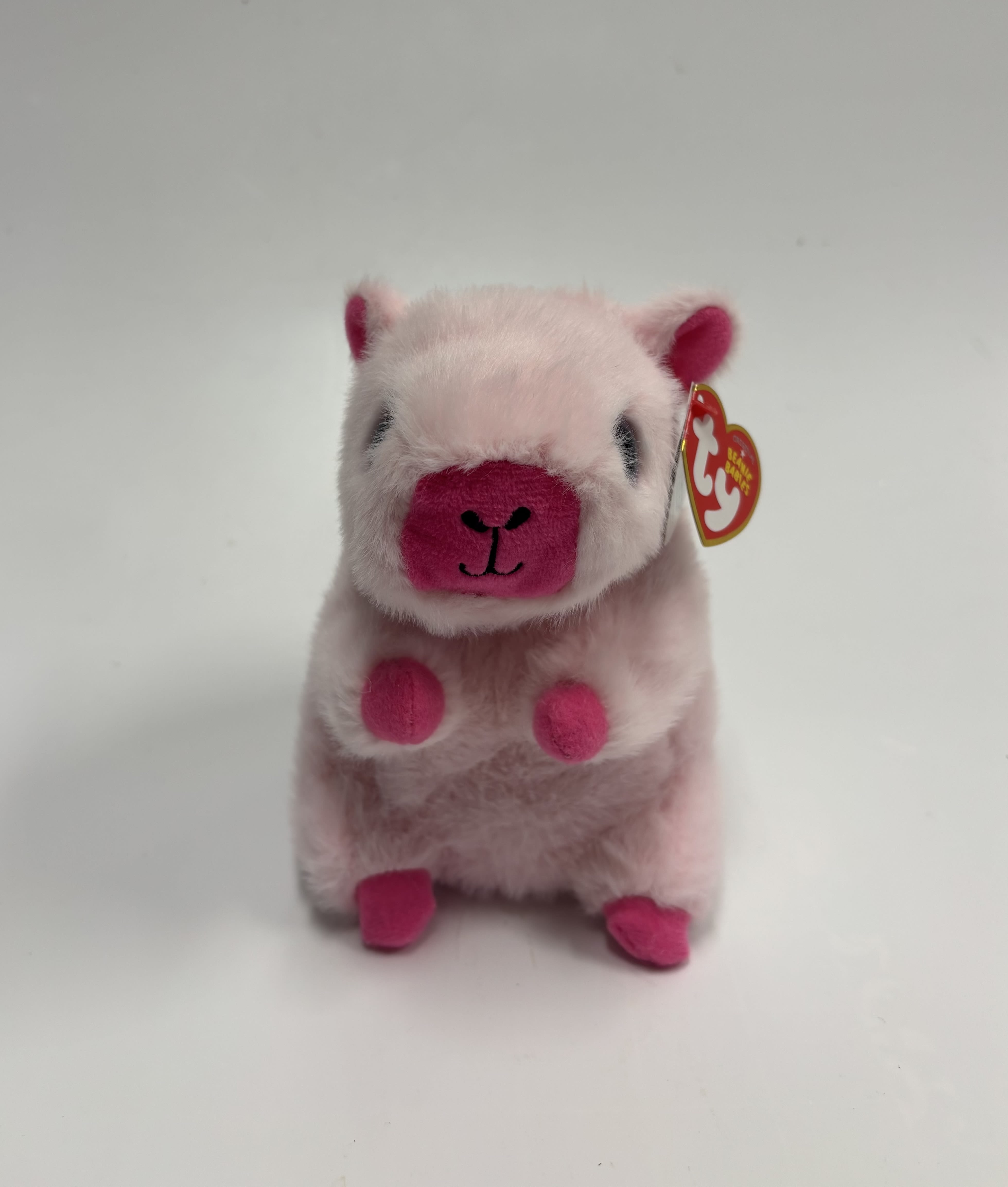 TY - PETAL  - TY - PETAL CAPYBARA