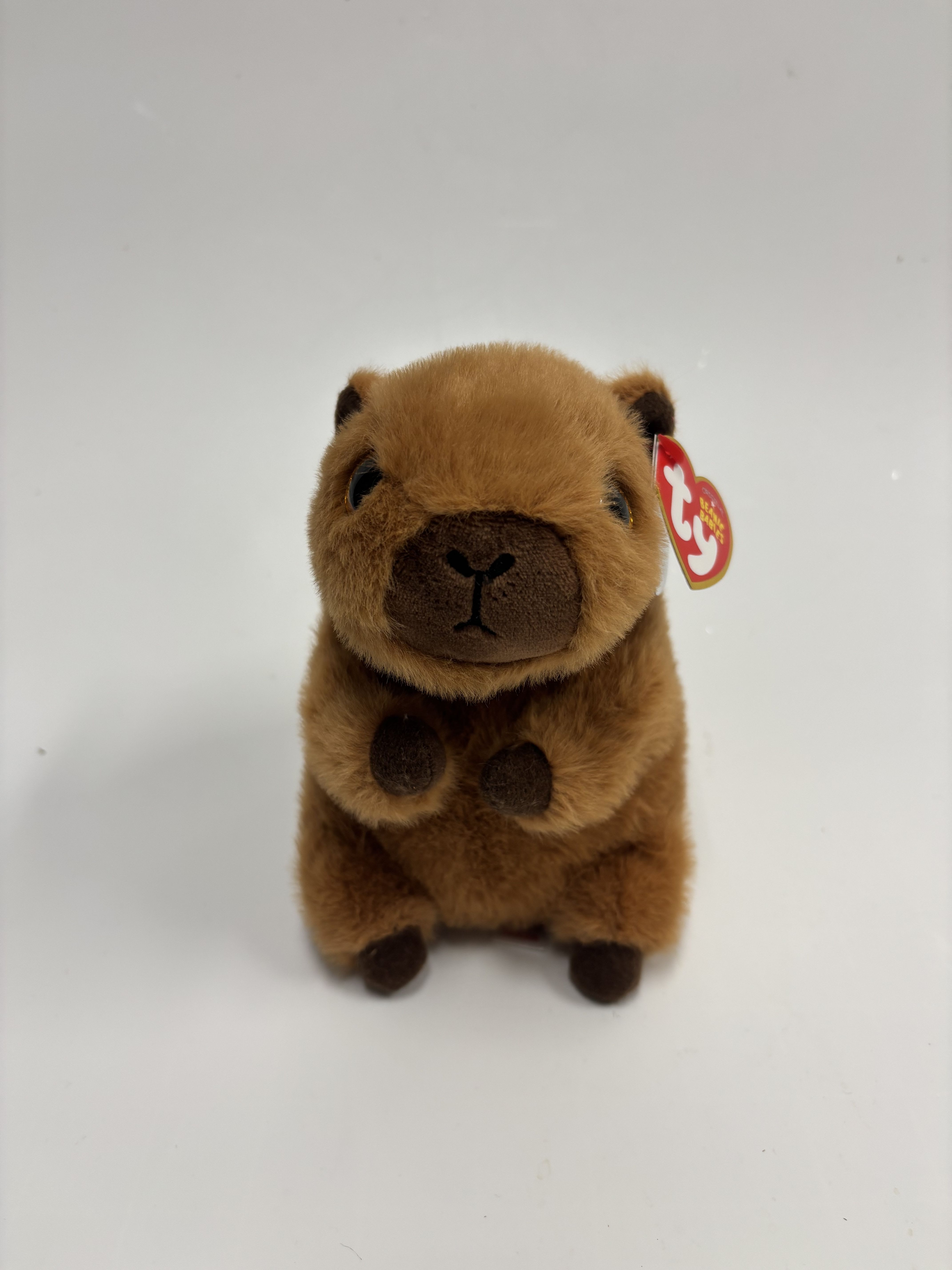 TY - MOCHA - TY - MOCHA CAPYBARA