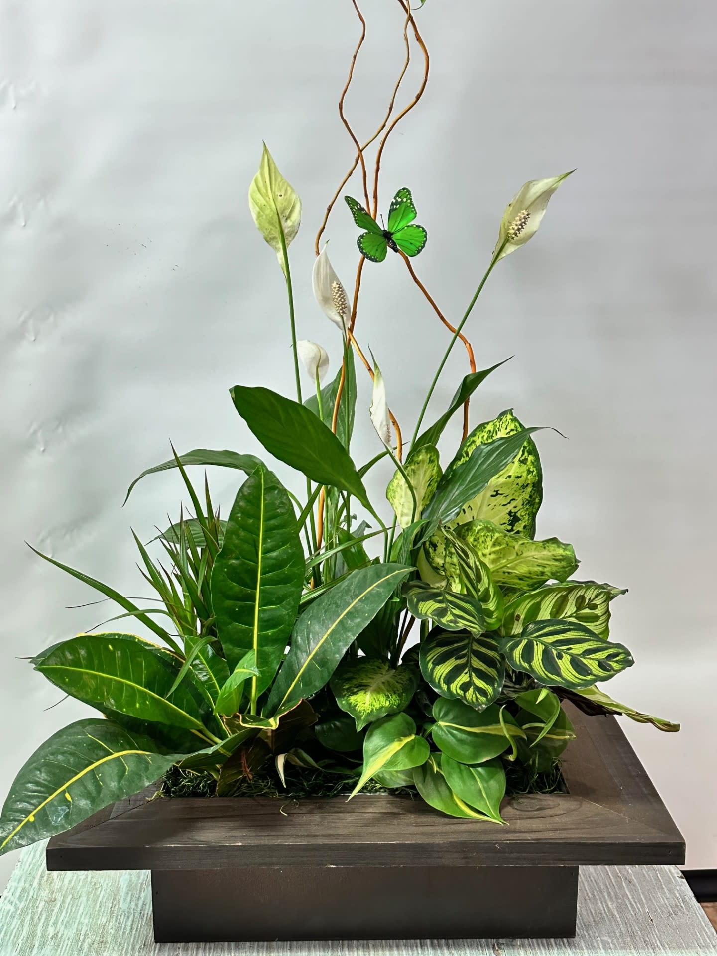 Tropical plant arrangement with white peace lilies in a dark planter