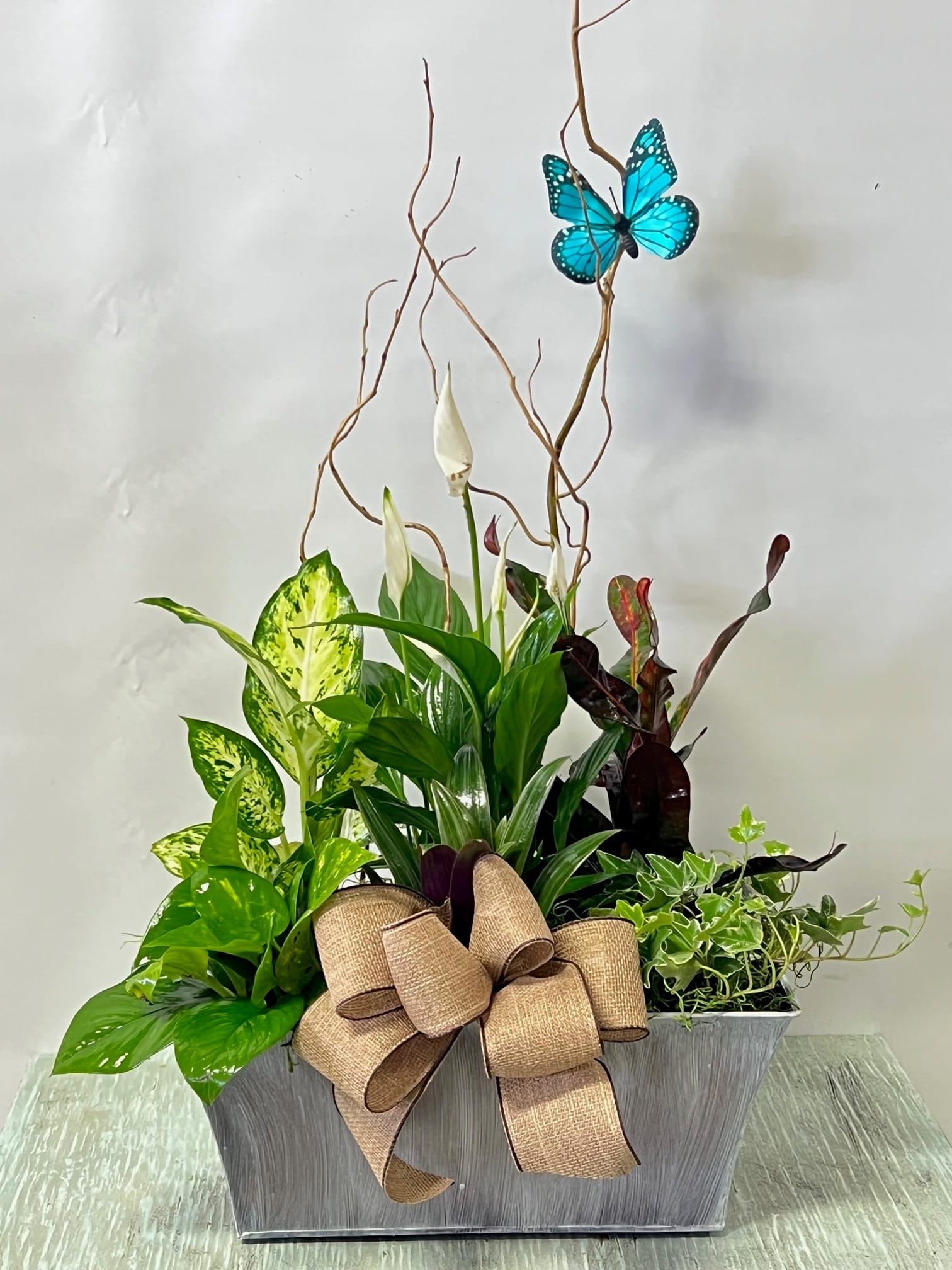 Potted peace lilies and mixed foliage in a gray planter with a burlap bow and blue butterfly