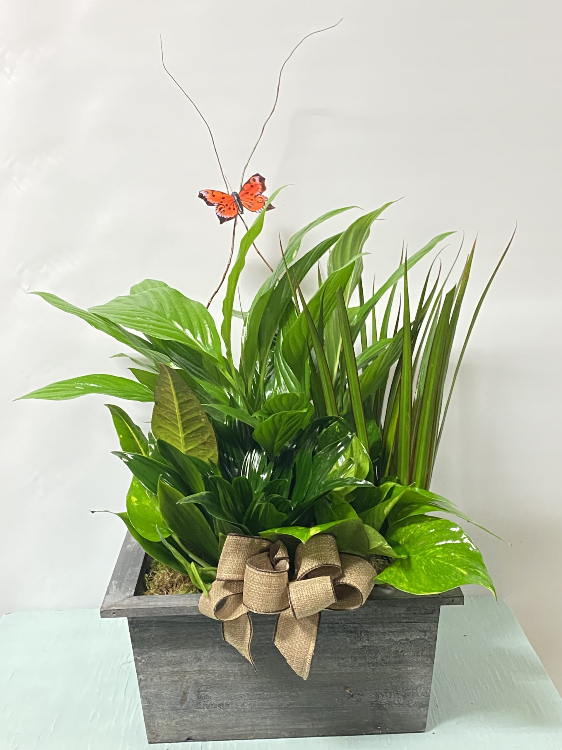 Green potted plant arrangement in a wooden planter with a burlap bow