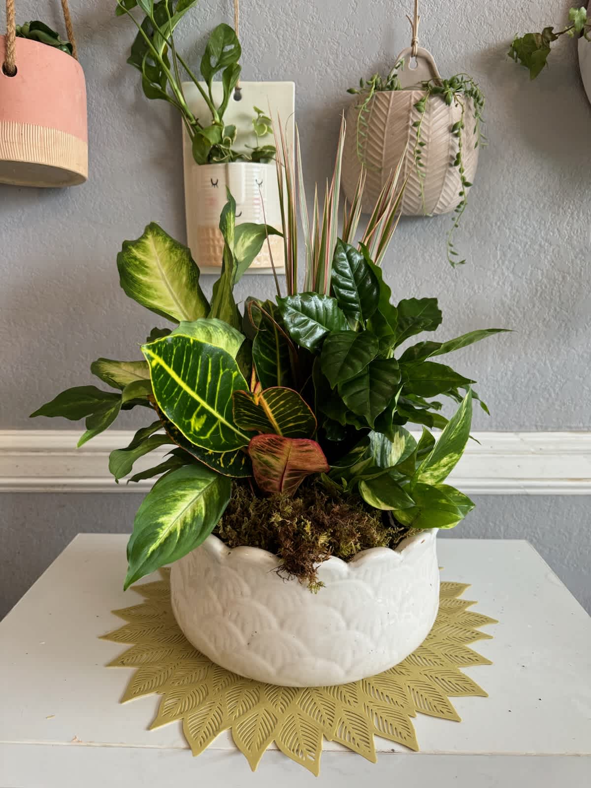 Mixed potted tropical plants in a white ceramic bowl planter