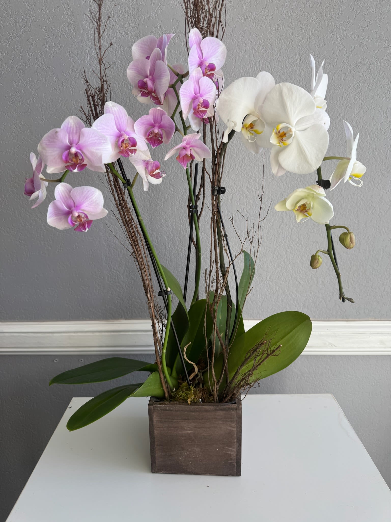 Potted orchid arrangement with pink and white blooms in a square wooden container