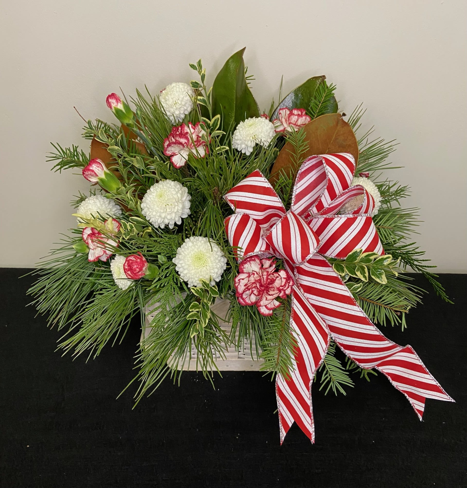 Candy Cane Lane by Chasing Petals - Candy cane carnations with ice cap poms and subtly fragrant winter greens take us on a stroll down Candy Cane Lane.