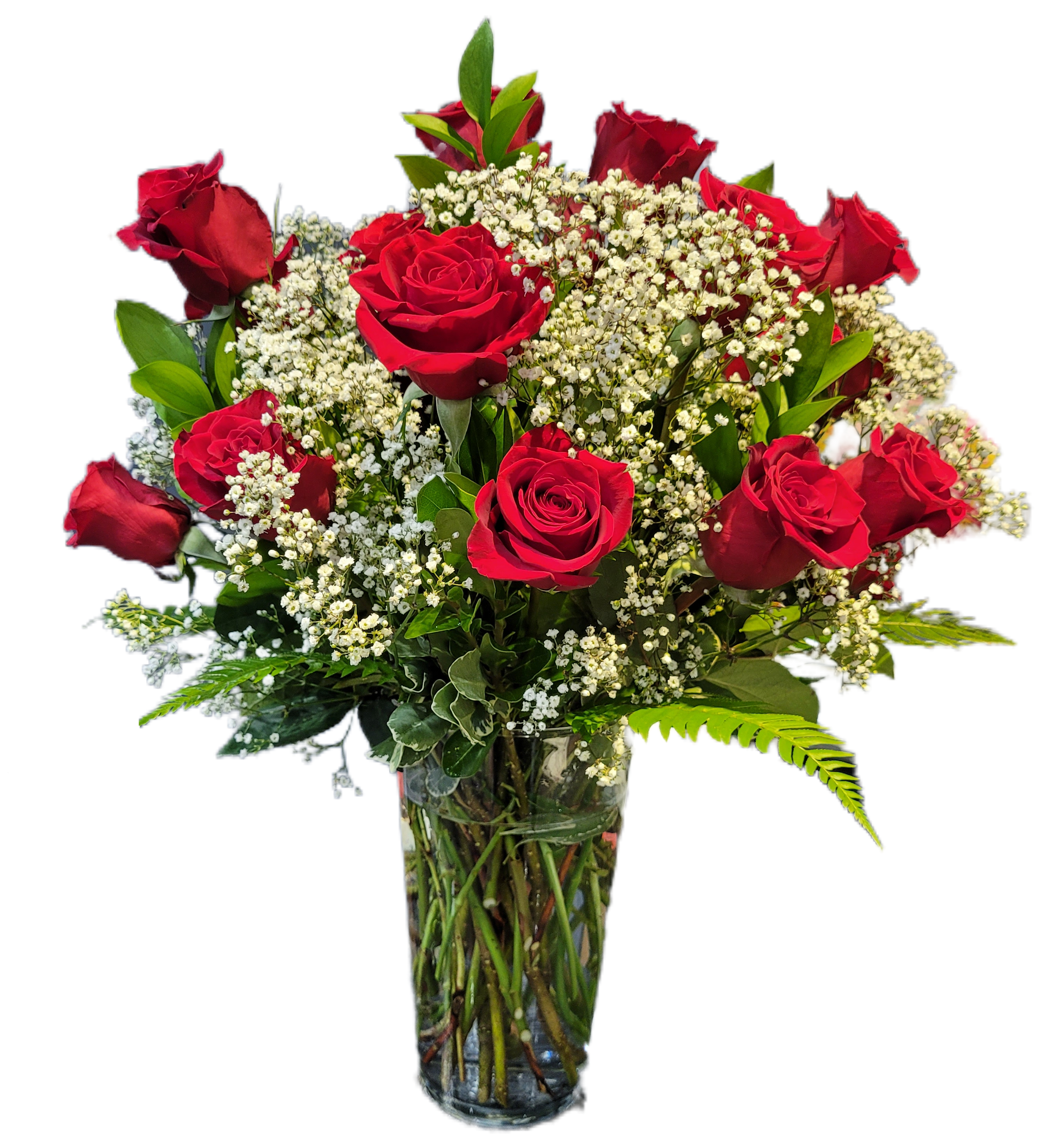 Red Romance - 1 Dozen red roses with with babies breath and Greenery. Arranged in tall vase.
