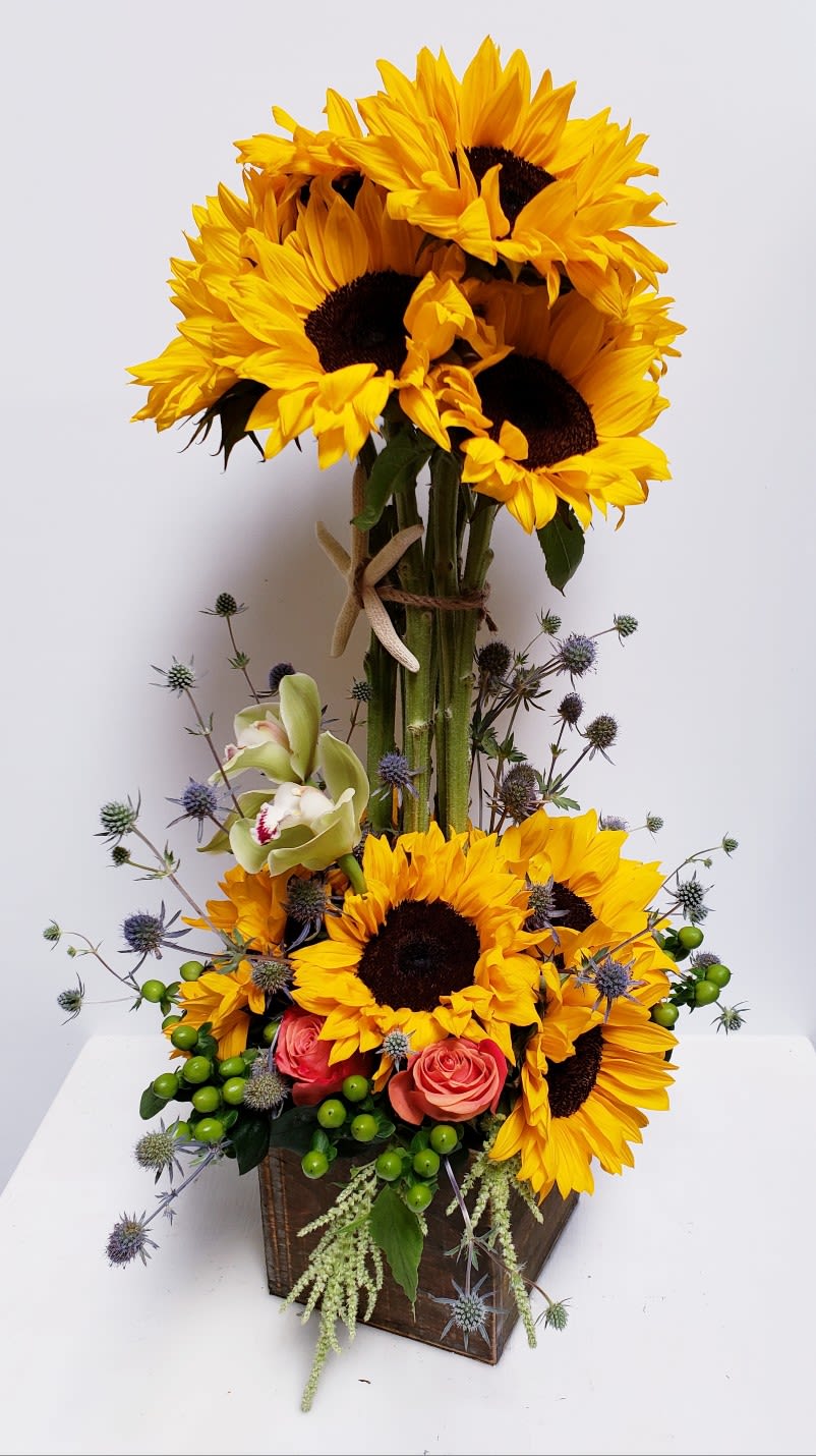 Sunflower Love 2 - 22"Hx 15"W