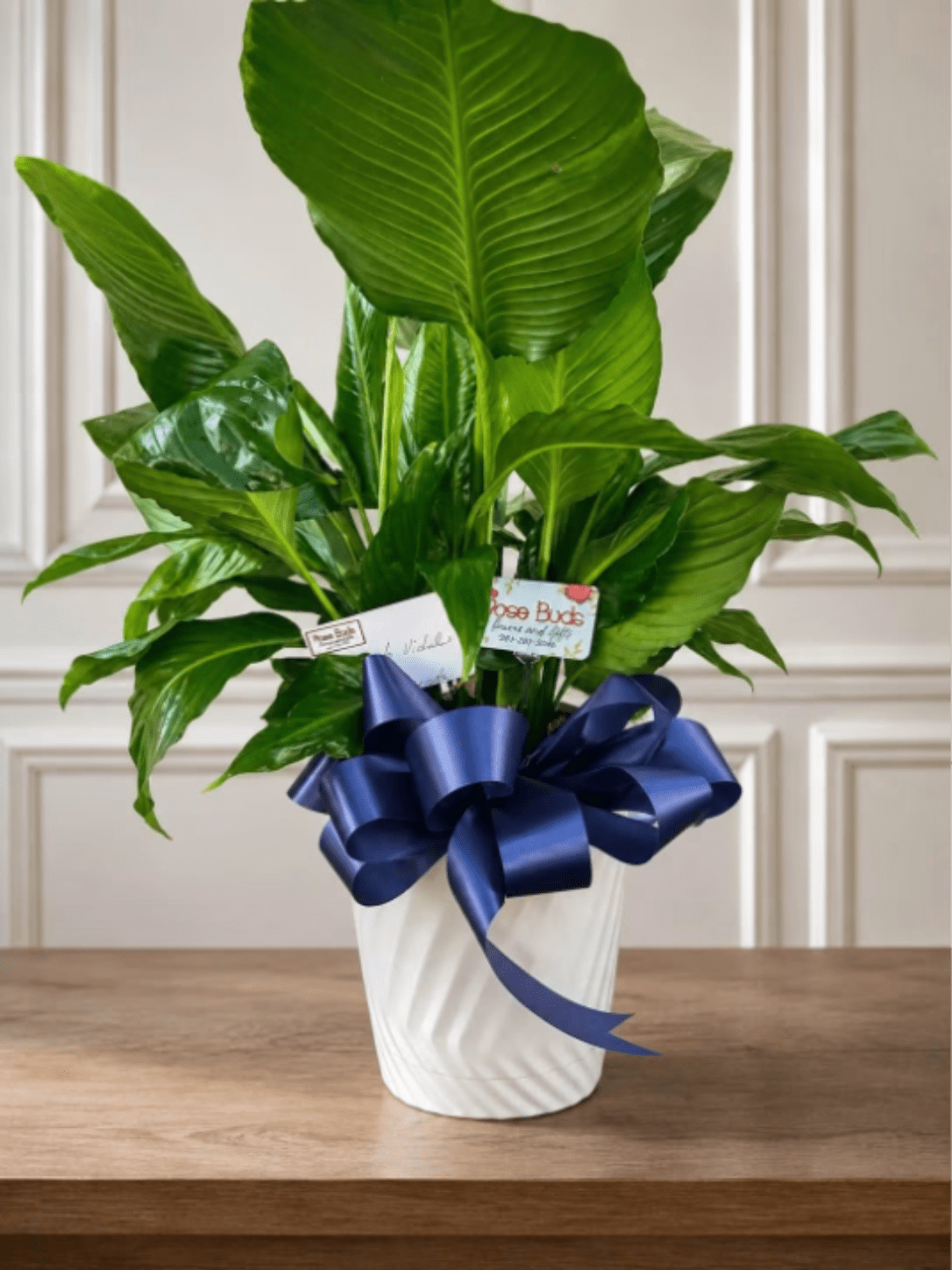 10" Peace Lily Plant - Send your condolences with this Spathiphyllum plant. APPROXIMATE DIMENSIONS: 36" H