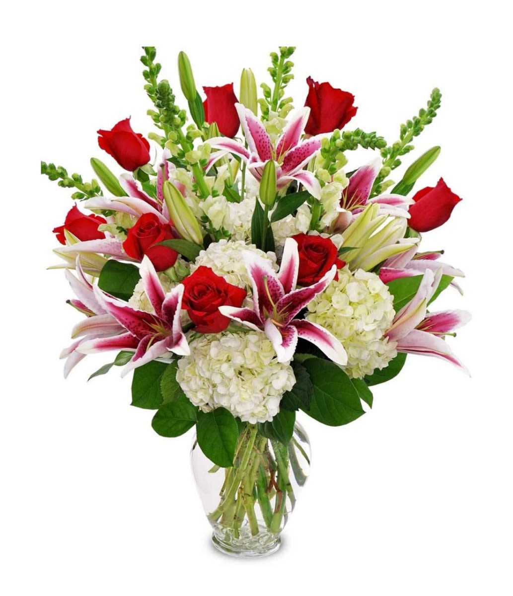 Loving Hug - A breathtaking blend of fragrant pink Stargazer lilies, classic red roses, and lush white hydrangeas creates a striking display of elegance and romance. Arranged in a clear glass vase with fresh greenery, this luxurious bouquet is perfect for anniversaries, celebrations, or making any occasion unforgettable.
