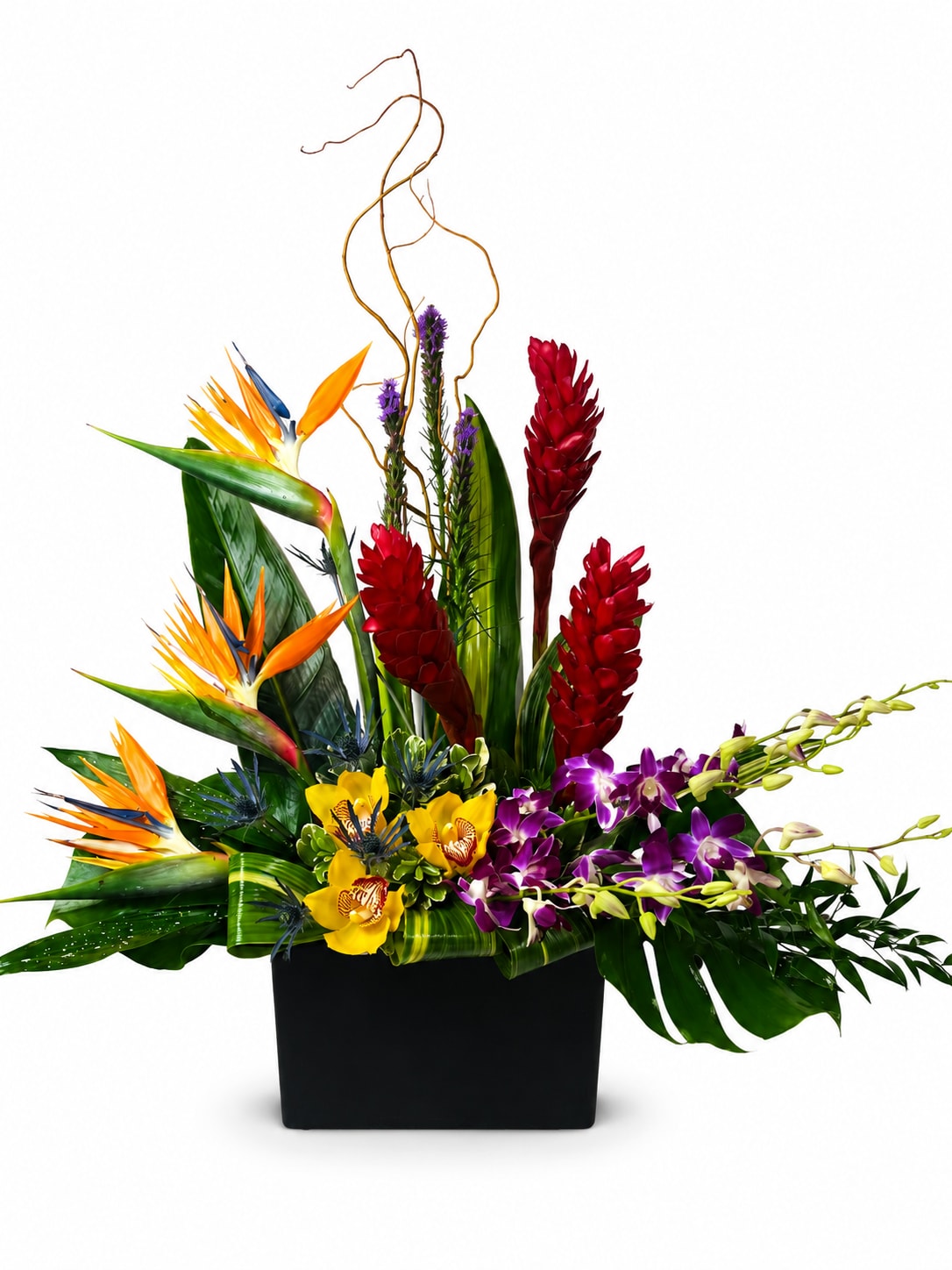 Aloha Tropical  - A striking contemporary arrangement featuring vibrant Birds of Paradise, bold red ginger, elegant orchids, and lush tropical foliage, artfully designed in a sleek black container. This dramatic floral display brings bold color, modern sophistication, and island-inspired beauty to any home, office, or special event.