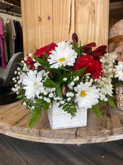 Daisy Crazy - A modest gift that will make a lasting impression. Daisy Crazy is the perfect gift for a birthday or just to show you care.   Arrangement Details: Includes white chrysanthemum spray daisies, red carnations, and assorted greenery. COLORS MAY VARY DEPENDING ON AVAILABILTY.