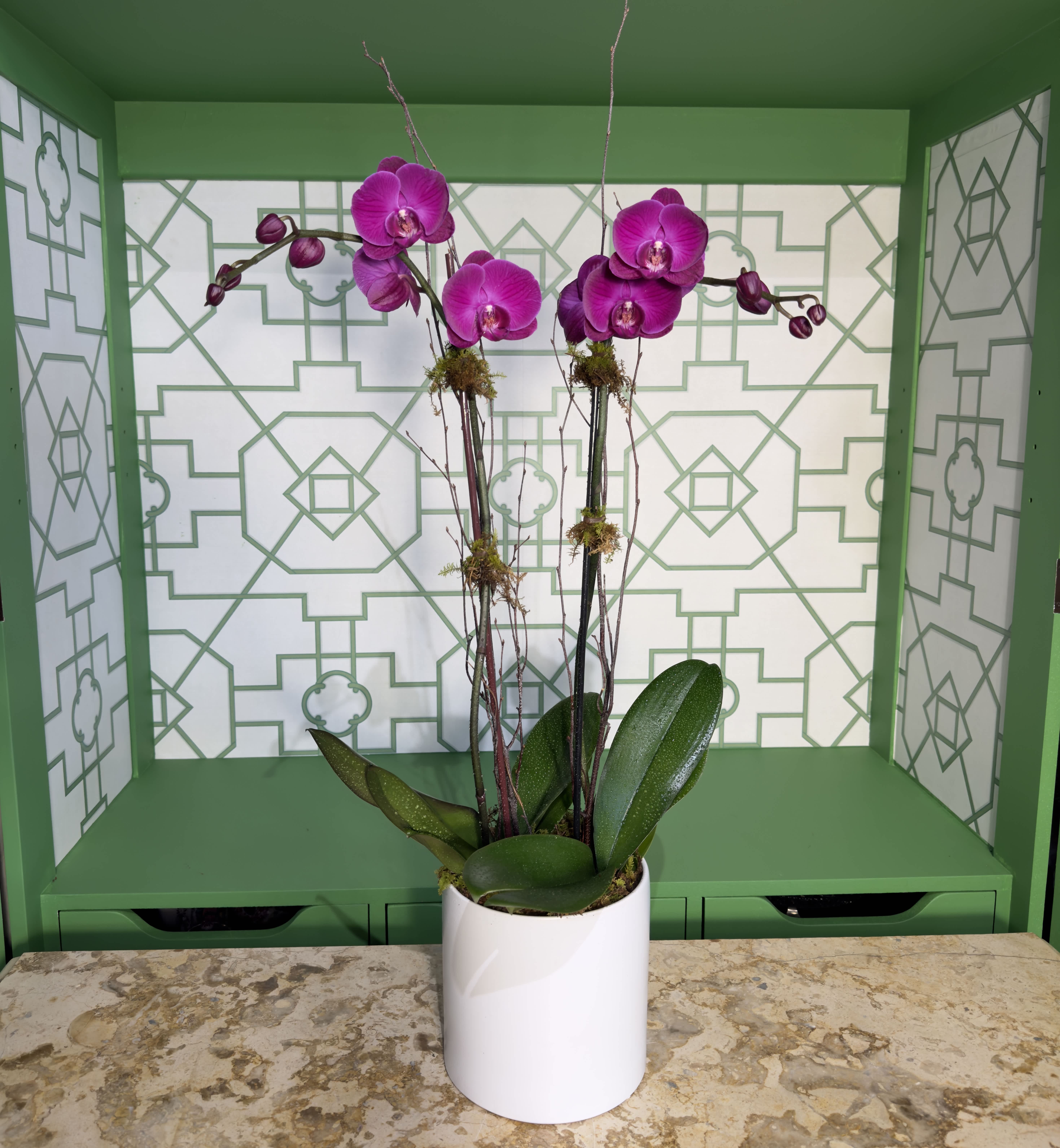 Purple orchids in a white pot with broad green leaves