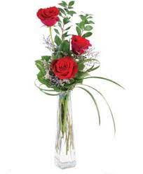 Three red roses in a tall clear vase with curved decorative grass
