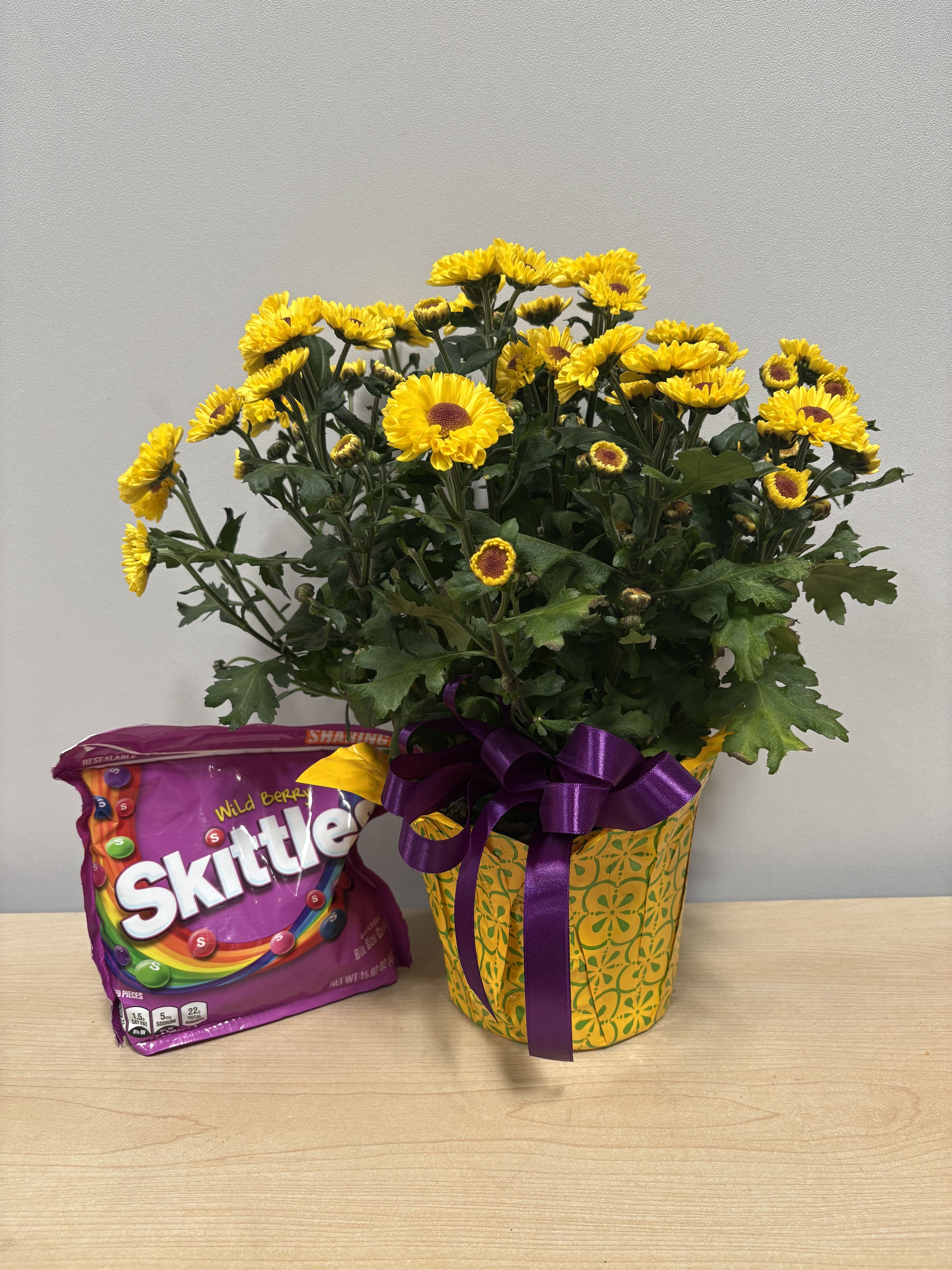 Daisy Plant &amp; Skittles  - As shown 