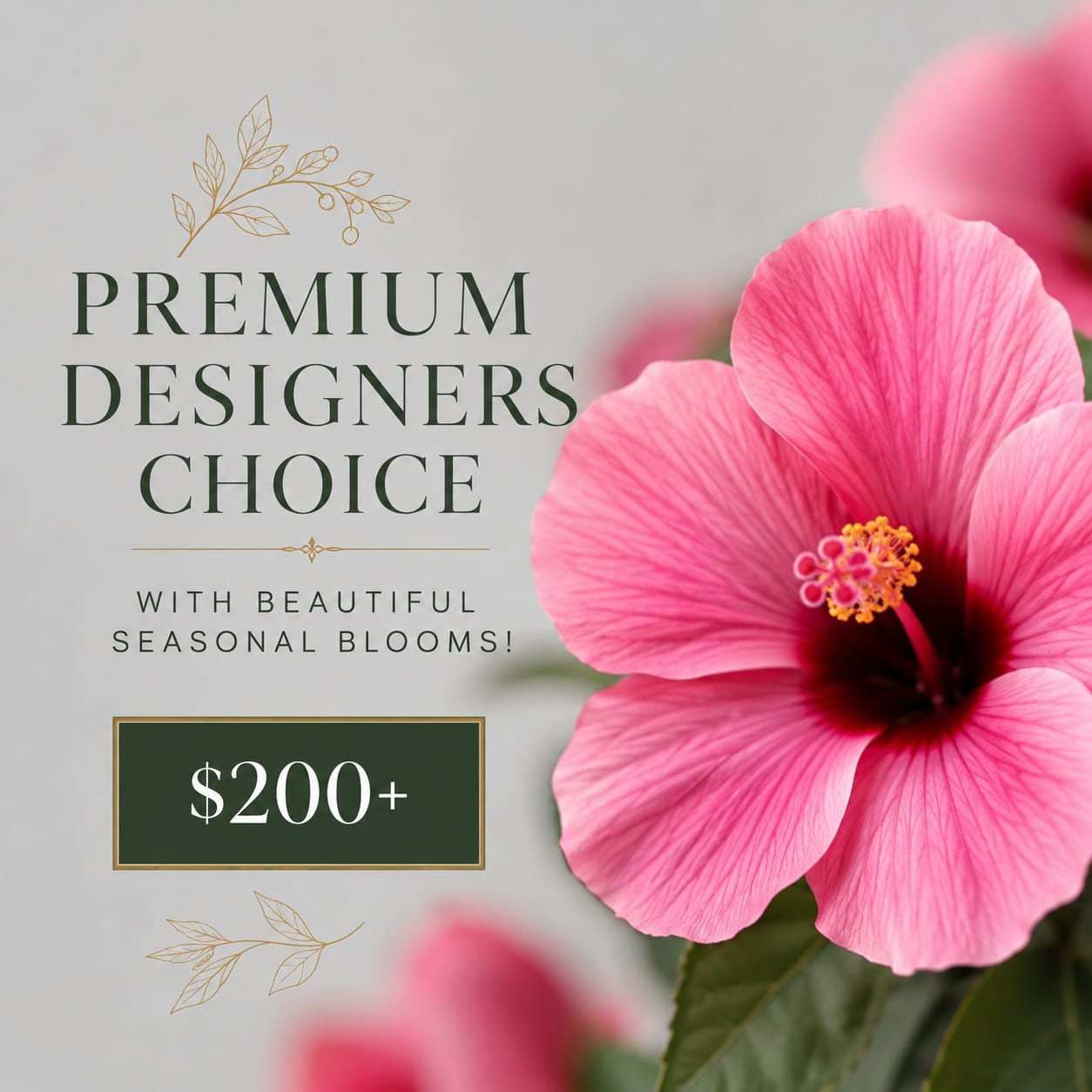 Pink hibiscus flower with a premium designers choice label and $200+ price tag