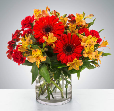 Cinnamon by BloomNation™ - This cinnamon-colored arrangement is a perfect taste of fall. Perfect for any occasion in the fall season, it features red gerbera daisies and yellow alstroemeria.  Approximate Dimensions: 10"D x 10"H