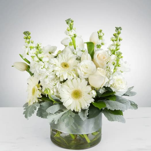 Purity by BloomNation™ - This arrangement contains gerbera daisies, roses, tulips, stock, and other seasonal blooms. APPROXIMATE DIMENSIONS: 15" D x 13" H