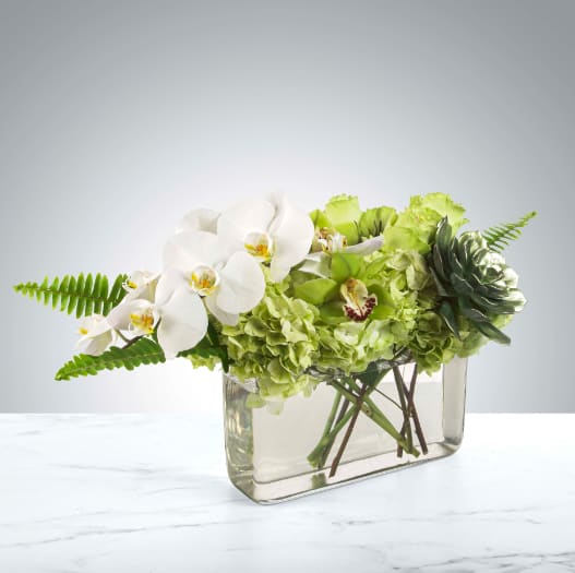 Luck be a Lady by BloomNation™ - A rabbits foot is good but a lucky flower arrangement is better! Two different types of orchids come together with a golden succulent and hydrangeas to bring good luck. Orchids are a sign of good fortune and green and gold are considered lucky colors. Perfect for sending as a New Year gift or to wish somebody a happy birthday and good luck for the upcoming year.  APPROXIMATE DIMENSIONS 20" W X 10" H