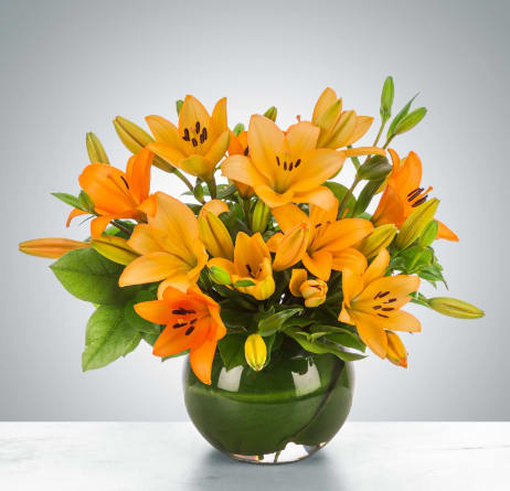 Lily Love by BloomNation™ - Orange lilies are a great gift to send for celebrating Grandparents Day, Parents Day, or a birthday as they symbolize confidence, energy, and honor. Send a joyful bowl of orange lilies to brighten a space.  1st Image: Standard 2nd Image: Premium