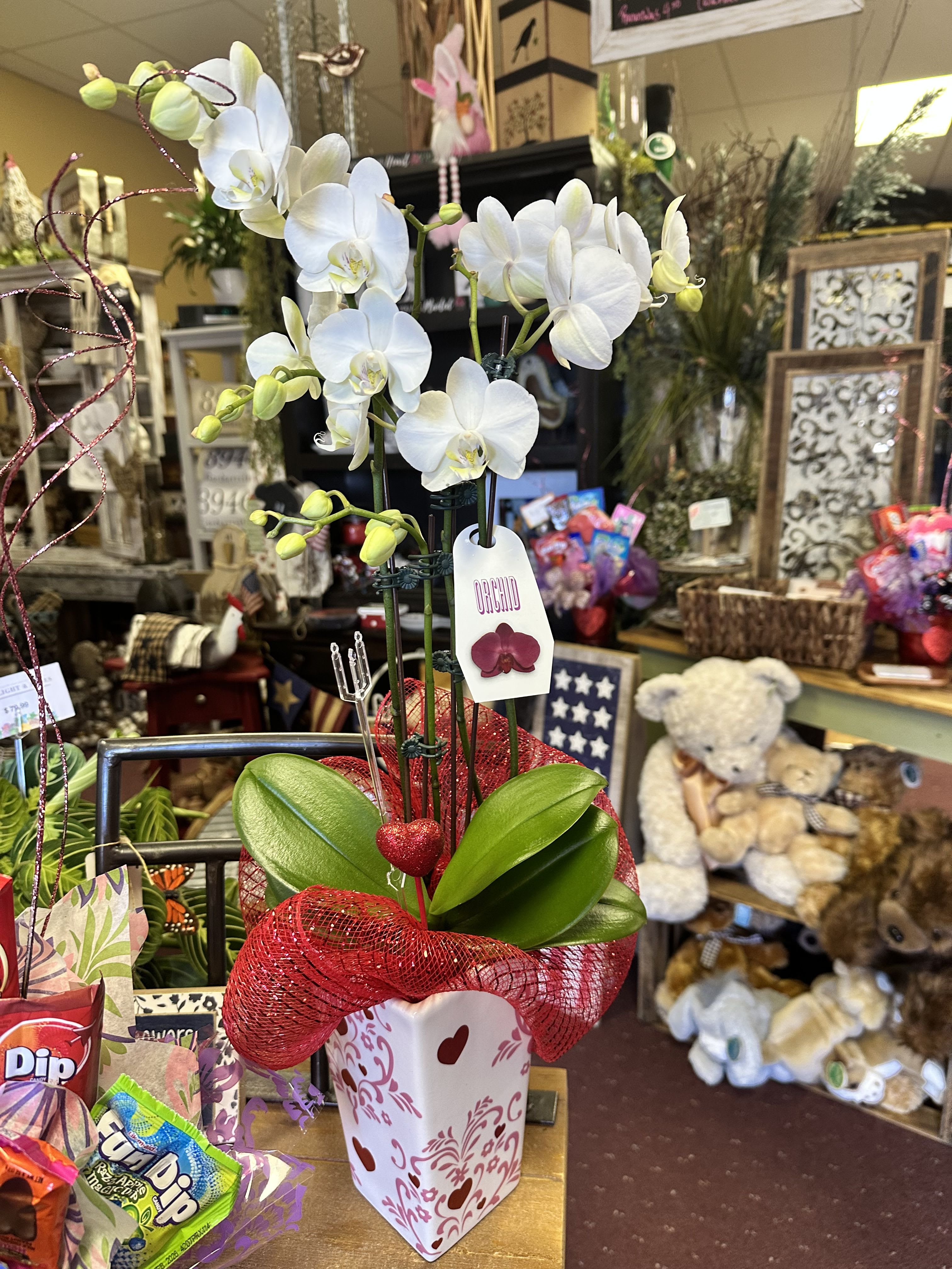 White orchid arrangement in a decorated heart-patterned pot with red mesh wrap