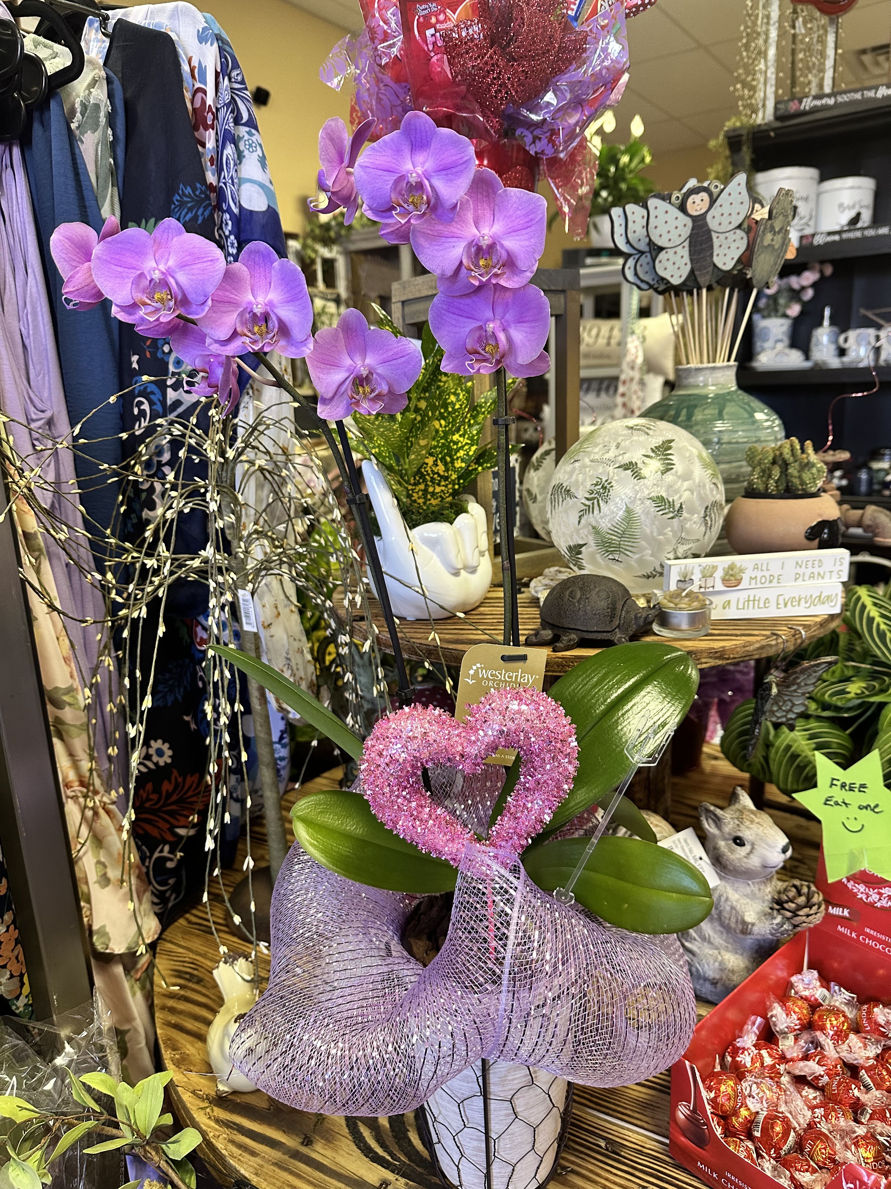 Purple orchid plant in a decorative pot with a pink heart topper