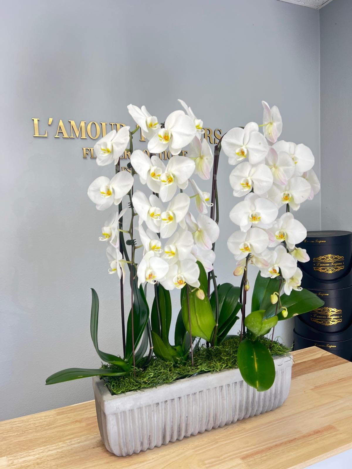 Grand Cascade of Orchids - Premium center piece with 4 arching orchids