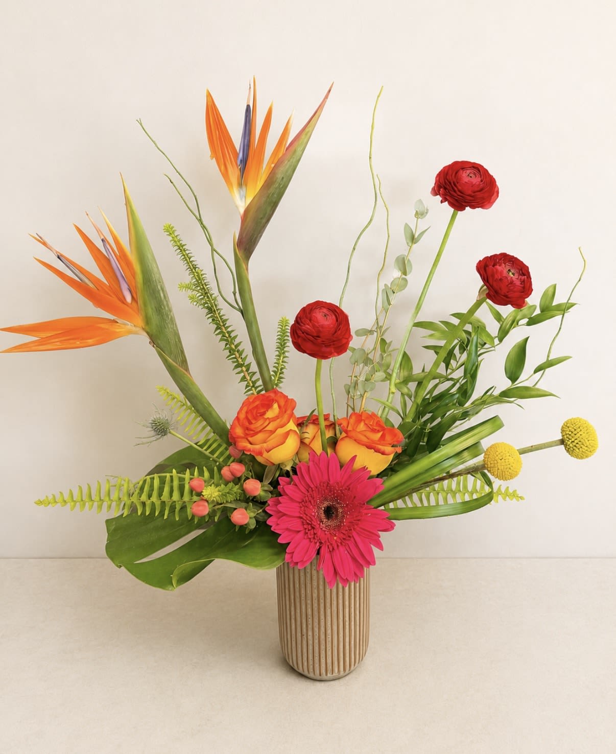 Tropical bouquet with orange bird-of-paradise, red ranunculus, and pink gerbera in a ribbed vase