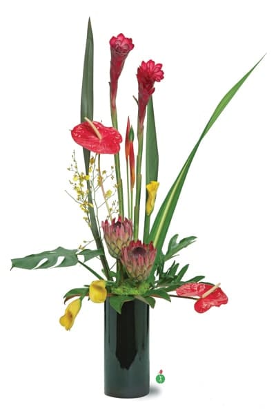 Tropical floral arrangement in a tall dark vase with red and yellow blooms