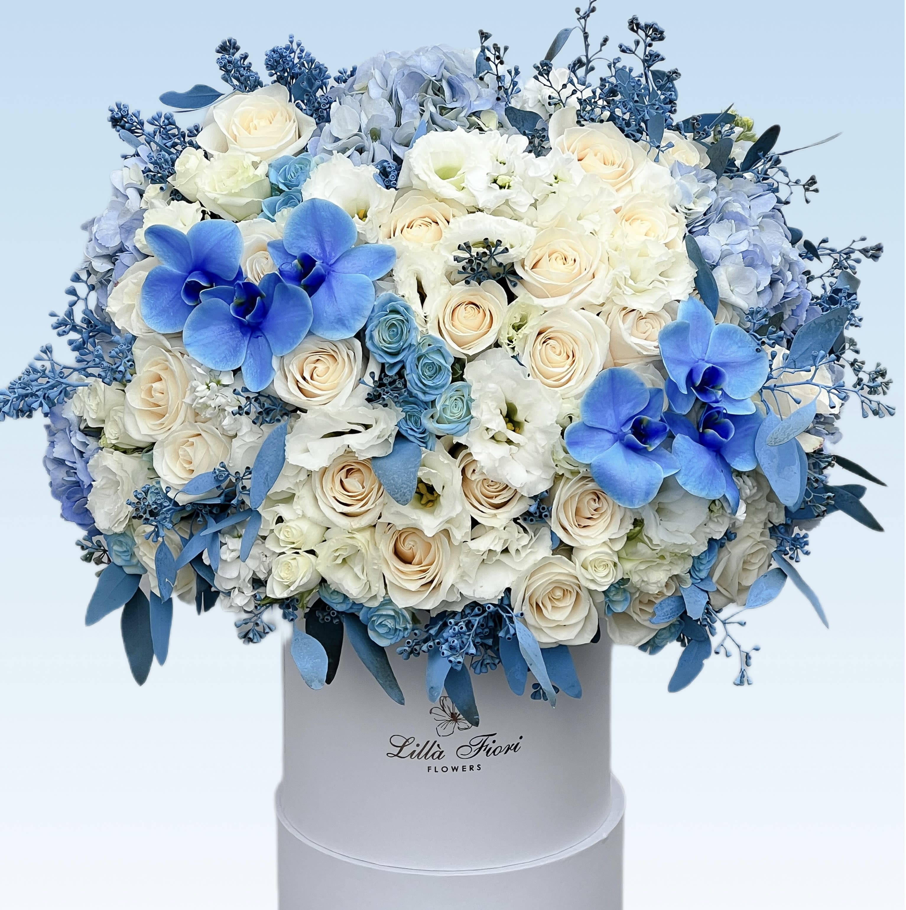 Round hatbox arrangement of cream roses, white lisianthus, blue orchids, and blue hydrangeas.
