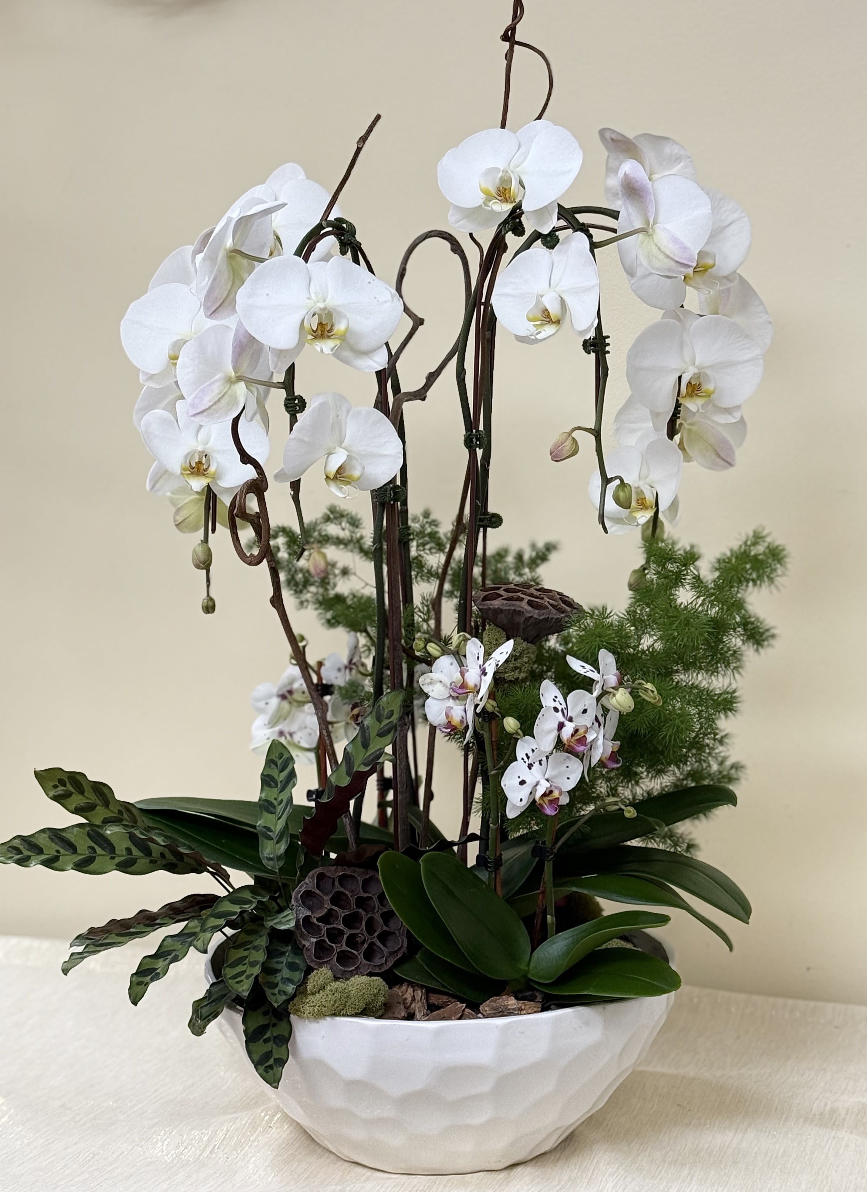 White orchids arranged in a white bowl planter