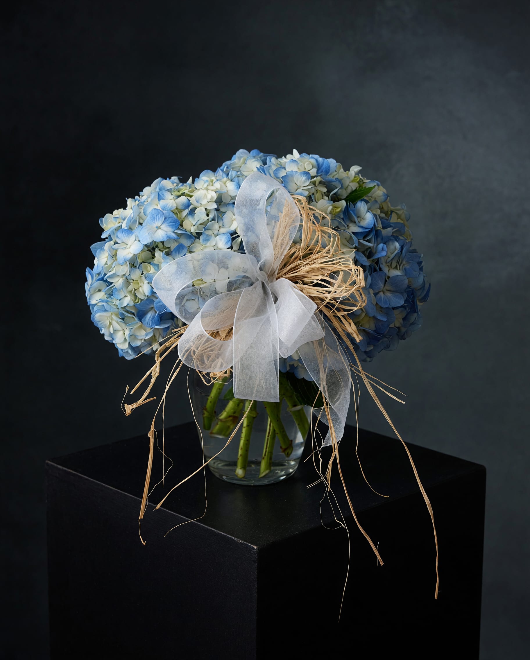 Blue and white hydrangea bouquet tied with a sheer ribbon