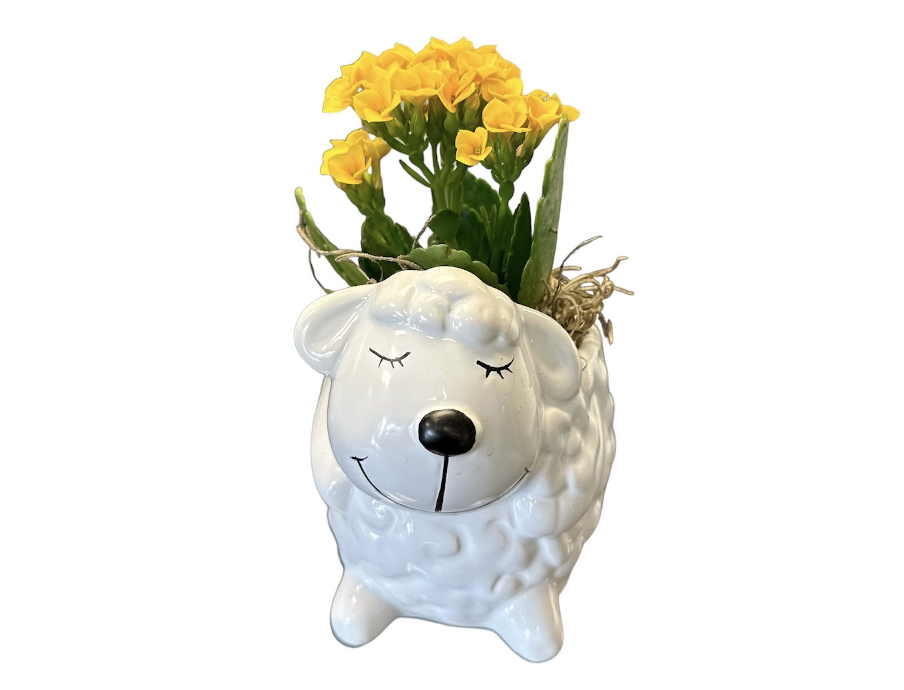 Yellow flowers arranged in a white sheep-shaped ceramic planter