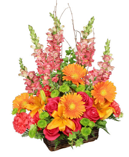 Brilliant Basket - There are so many ways to celebrate with a basket of flowers like these! Our Brilliant Basket is filled with roses, carnations, snapdragons, lilies, gerberas, and more. This arrangement is an enchanting gift. With blooms as bright as these, they'll know just how much they're appreciated! 