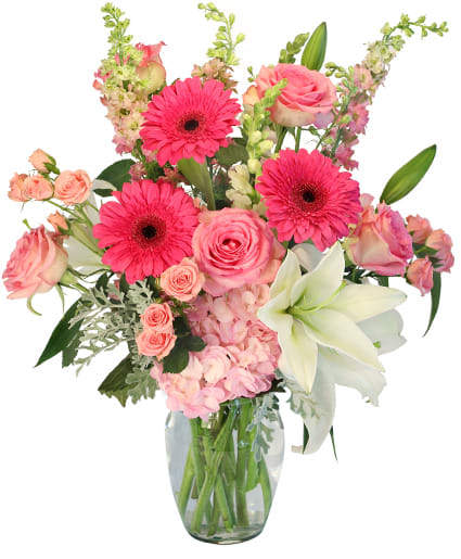 Blushing Bouquet - Premium pink and white flowers arranged in a tall clear vase. Gerbera daisies, lilies, hydrangea, roses and larkspur make up this show stopping arrangement that has minimal greenery.  Approximately: 24" Tall