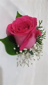 Single hot pink rose boutonniere with small white accent flowers on a white background