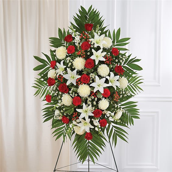 Red &amp; White Sympathy Standing Spray - A warm embrace. A kind word. A memorable gesture. There are many ways to express how we feel after the loss of a loved one. Our beautiful standing spray arrangement, meticulously handcrafted by expert local florists with radiant red roses and peaceful white blooms, provides a thoughtful statement of your care and support when it’s needed most. •Standing spray arrangement with red roses and hypericum; white Asiatic lilies, football mums, stock, red carnations and monte casino; accented with soft, lush greenery  •Large measures approximately 56"H x 38"L without stand  •Medium measures approximately 46"H x 34"L without stand  •Small measures approximately 42"H x 30"L without stand  •Arrives on an easel  •Appropriate for the funeral home or gravesite •Our florists use only the freshest flowers available, so colors and varieties may vary due to local availability