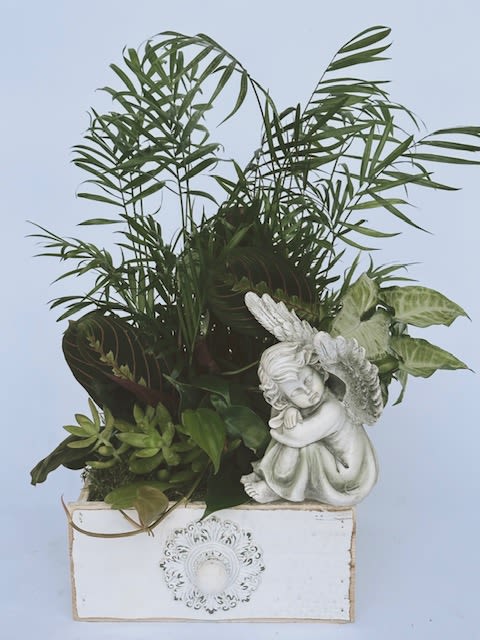Potted green plant arrangement with a white angel figurine in a decorative box