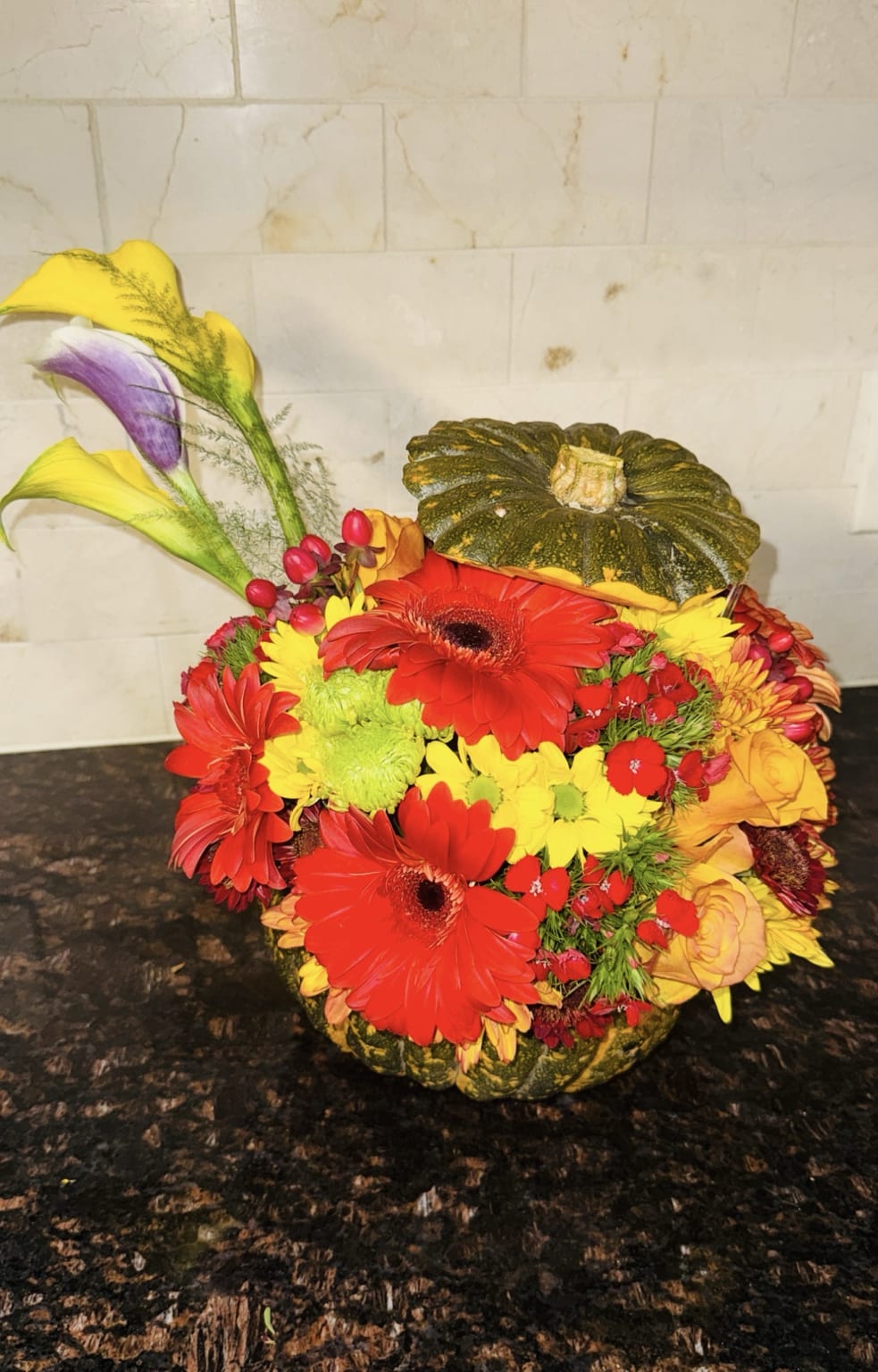 Pumpkin Autumn Holiday - This festive holiday arrangement is designed inside a natural pumpkin vessel, creating a warm and seasonal centerpiece that instantly transforms any table. Vibrant red gerbera daisies, sunny yellow mums, lime-green button poms, and deep burgundy accents come together in a joyful, richly textured mix, bringing a classic holiday touch.  A pear of elegant calla lilies adding height, movement, and a refined artistic element. The pumpkin lid, set sightly to the side, completes the design with a charming rustic finish, making the entire arrangement feel like a celebration of abundance, gratitude, and togetherness.  Perfect for Thanksgiving, Christmas gatherings, holiday dinners, or seasonal gifts, this arrangement brings color, light, and festive spirit into any home. 