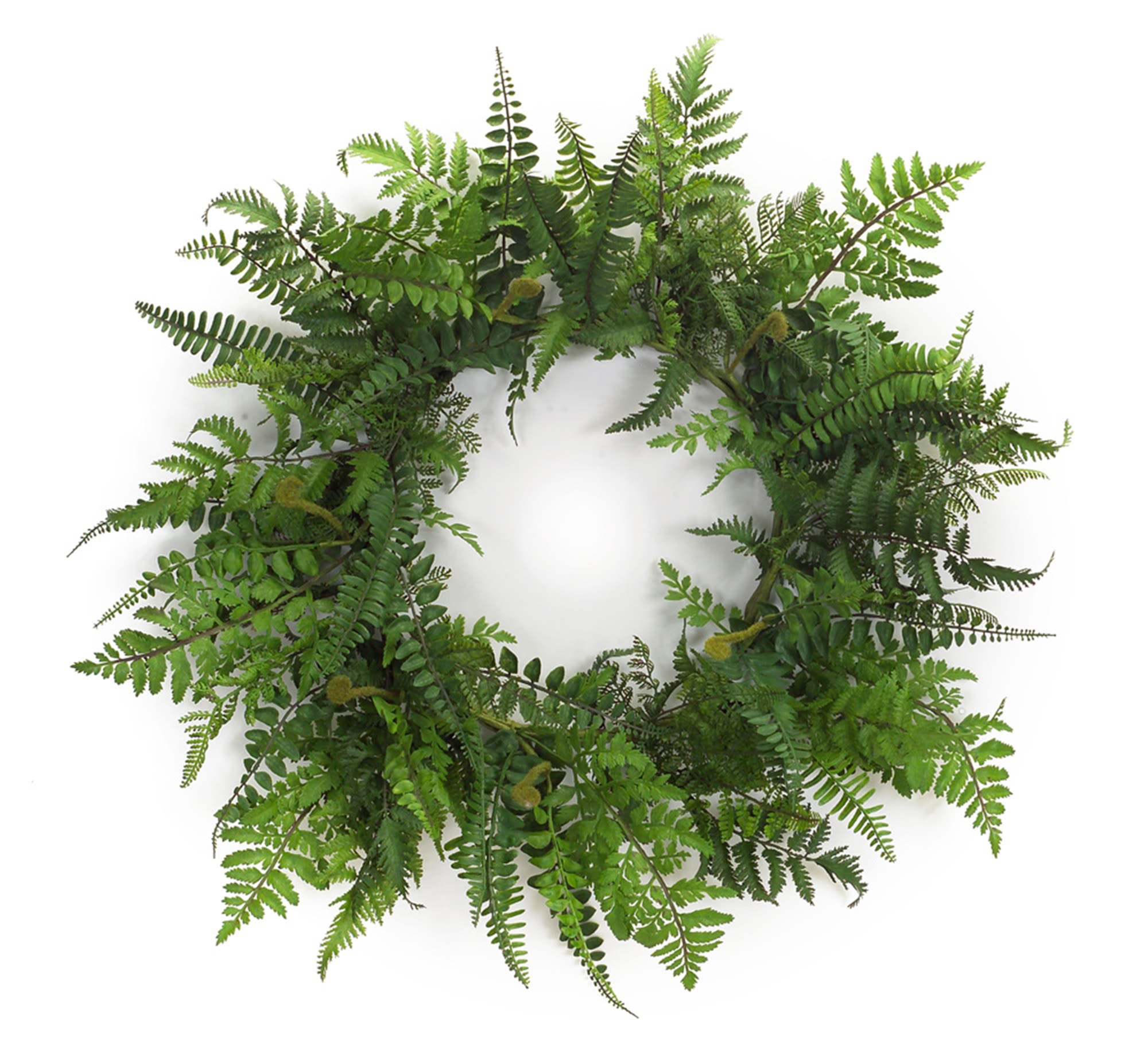 Green fern wreath on a white background