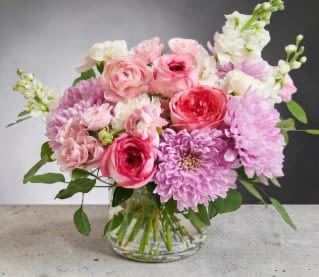Garden Symphony by Art and Flowers - A lush, garden-style arrangement bursting with soft romance, this design features layered blooms in shades of blush, rose, and lavender. Full, ruffled flowers like garden roses and chrysanthemums create a rich focal point, while delicate accents of stock and lisianthus add height and airy movement. Fresh greenery peeks through, giving the piece a natural, just-gathered feel. Designed in a simple white container, the colors and textures take center stage, evoking a graceful, feminine charm. 