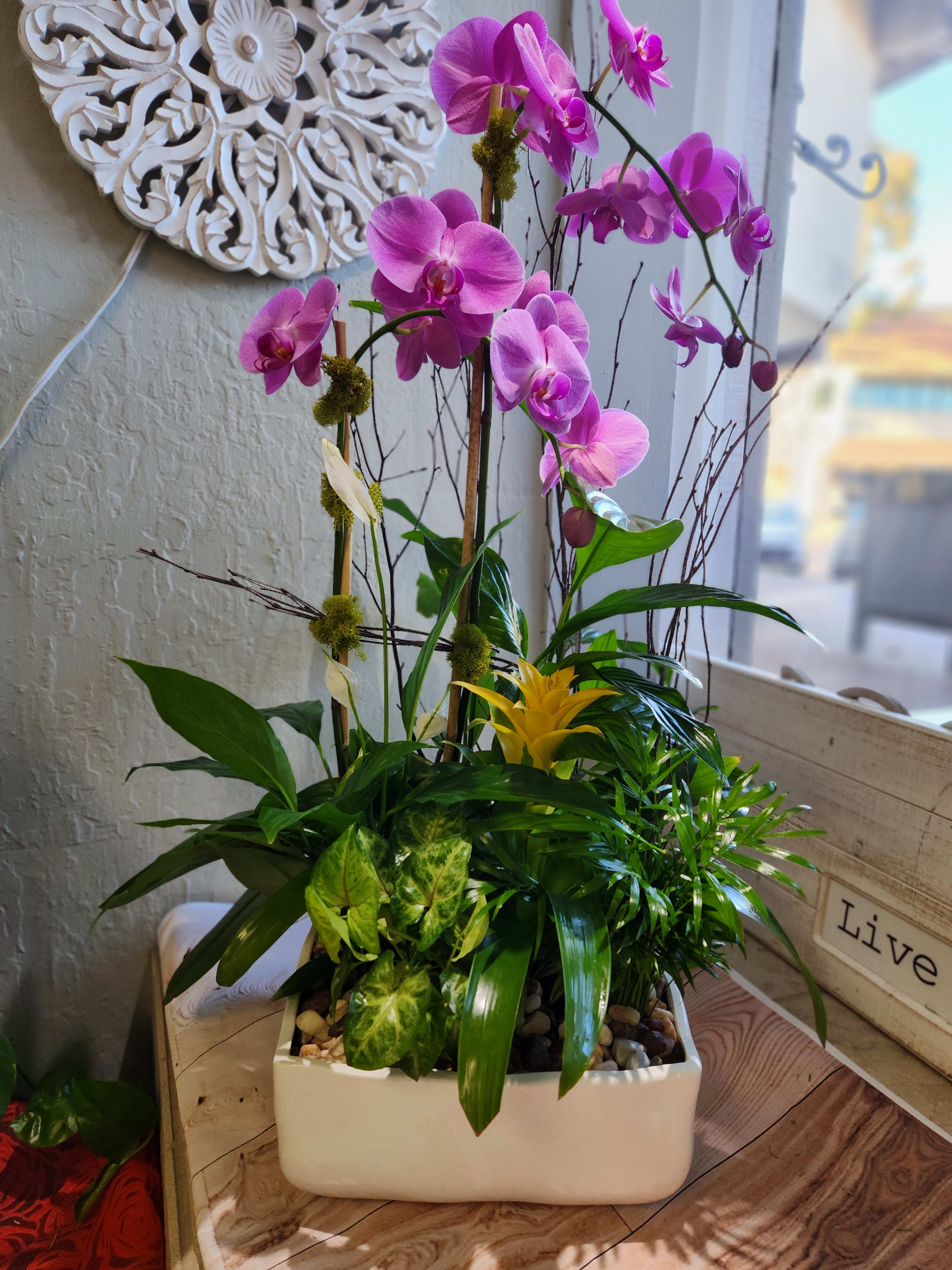 Pink orchids in a white rectangular planter with mixed tropical foliage
