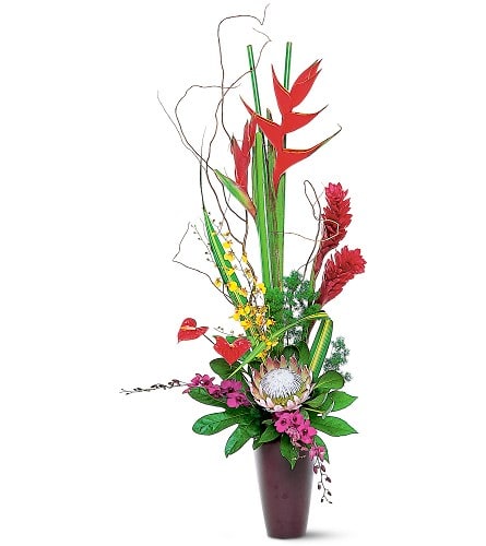 Tropical Beauty- Please order ahead of time to ensure we have product   - This gorgeous vase with its bold beautiful flowers and foliage offers some of the best of the tropics. Sure to add sizzle to any home or office. King protea anthuriums ginger heliconia and orchids along with distinctive foliage arrive in a tall decorative vase.Approximately 26" W x 56" H Orientation: One-Sided As Shown PLEASE Order in advance or check with shop on availability.   