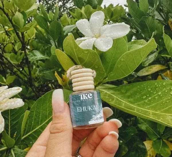 White flower among glossy green leaves with a small hanging bottle held in front