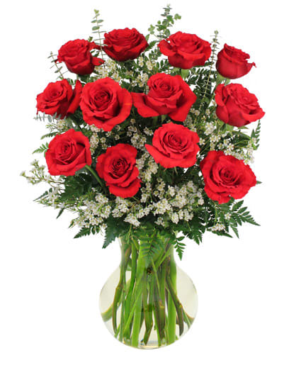 Red roses arranged in a clear glass vase with small white filler flowers