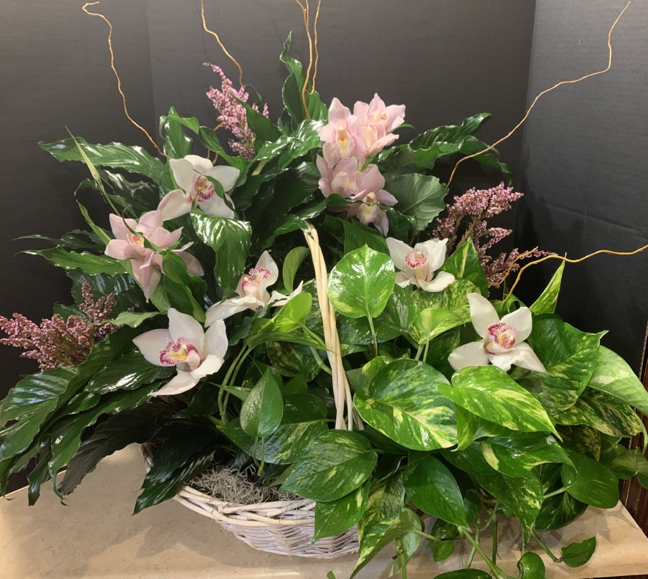 Basket arrangement with pink and white orchids and glossy green foliage